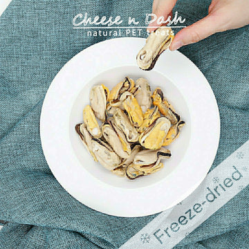 凍乾紐西蘭青口 | Freeze-dried NZ Mussels